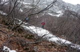 inizio-boscaglia-Faggio