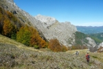 Tambura