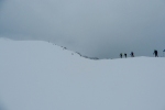 paginone-nebbia