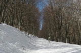 P1150791