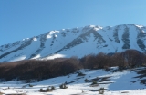 P1240631_edL.jpg