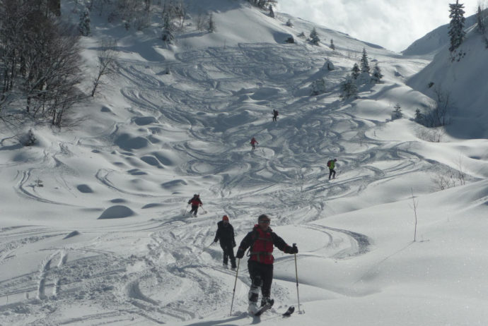 Rossa di Campolino