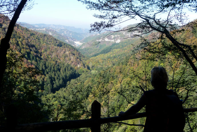 Foresta della Lama