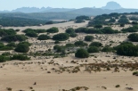 Piscinas-Arcuentu