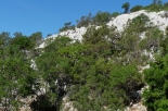 Testata-cengia-Giradili