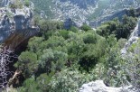 Tiscali