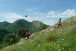 Montale